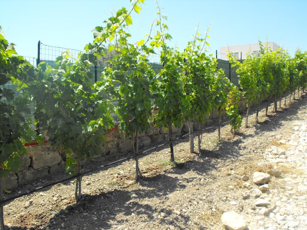 Agriturismoeloropizzuta Lido di Noto Luaran gambar