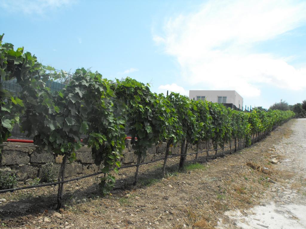 Agriturismoeloropizzuta Lido di Noto Luaran gambar
