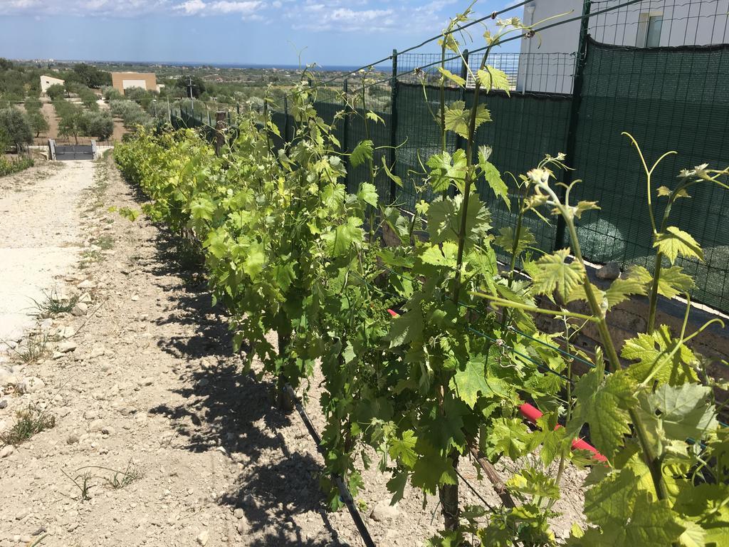 Agriturismoeloropizzuta Lido di Noto Luaran gambar
